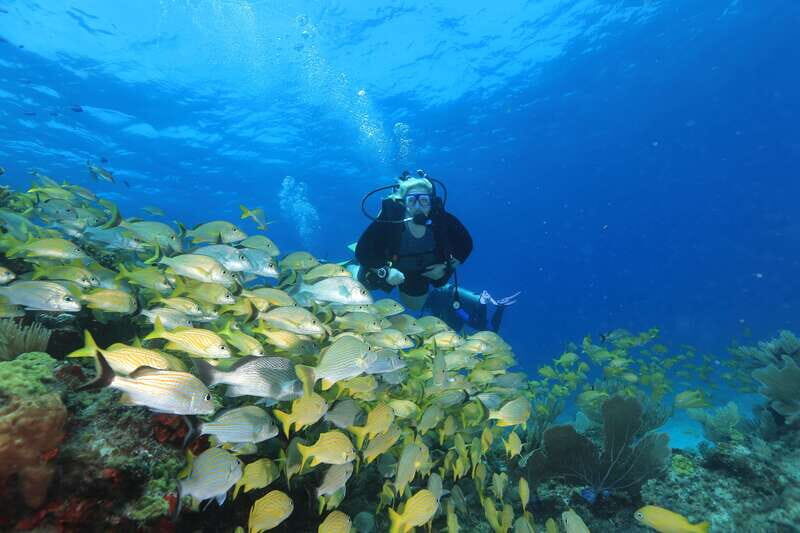 Cancun: Scuba Diving for Beginners, 2 Dives - An In-Depth Look at the Tour