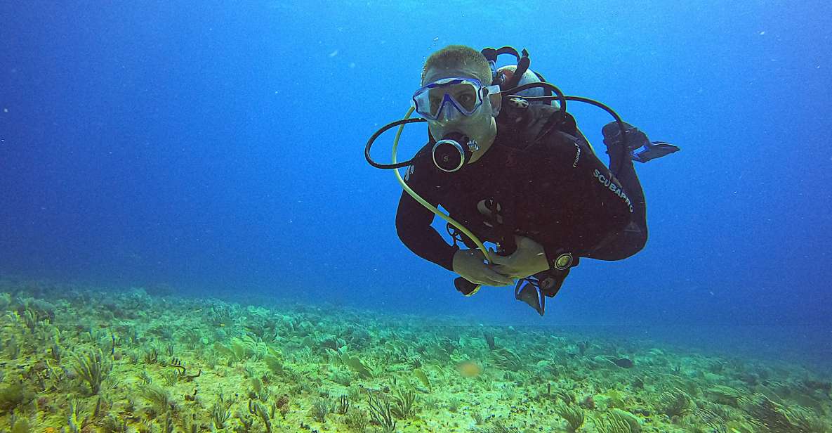 Cancun: Scuba Diving for Certified Divers, 3 Options to Dive - Key Points