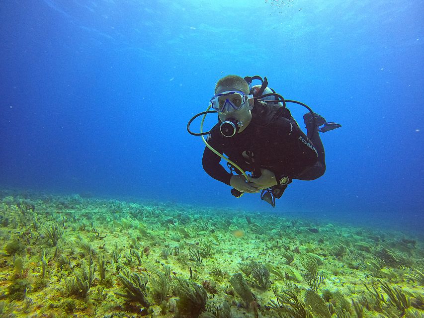 Cancun: Scuba Diving for Certified Divers, 3 Options to Dive - Who Can Participate