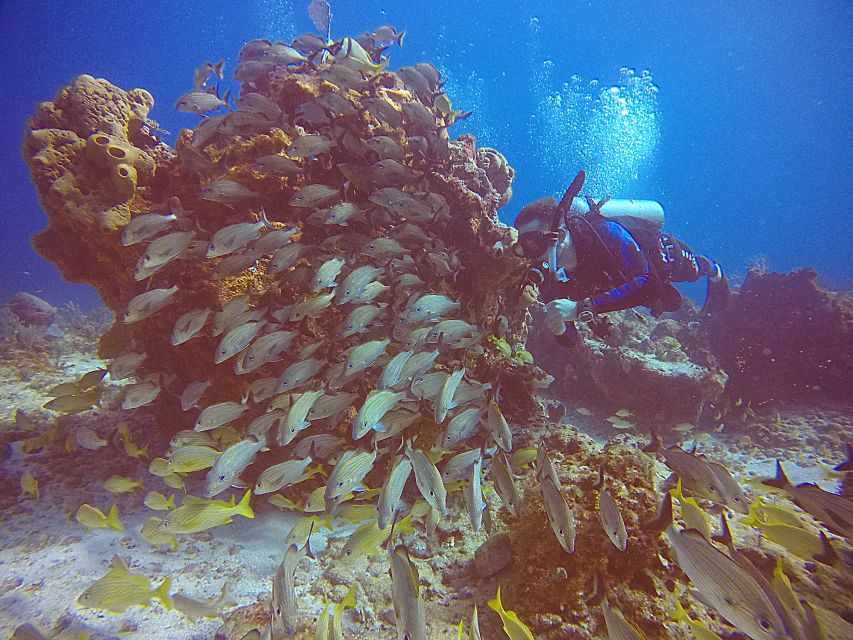 Cancun: Scuba Diving for Certified Divers, 3 Options to Dive - Frequently Asked Questions