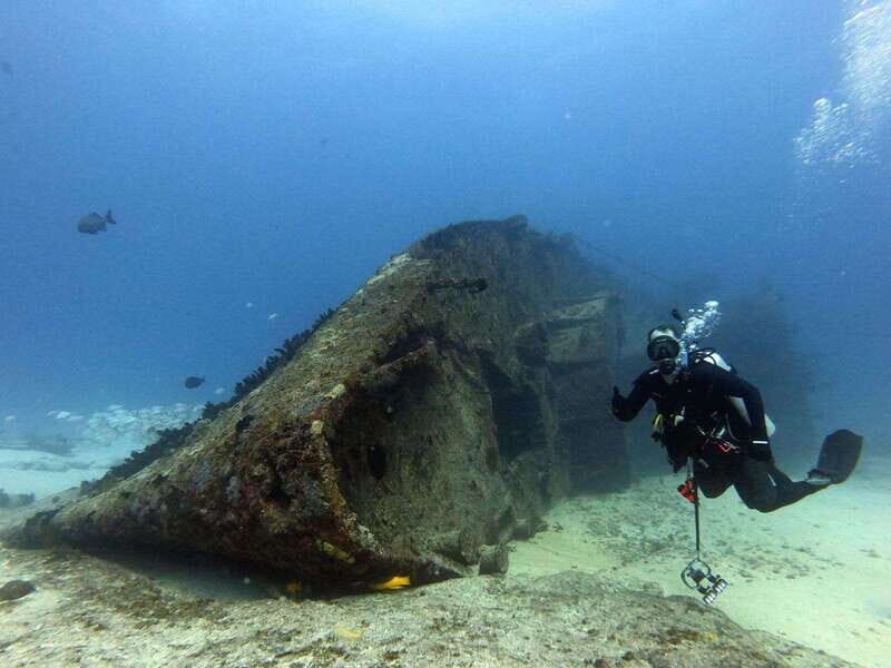 Cancun: Shipwreck & Reef for Certified Divers - Marine Life and Underwater Scenery