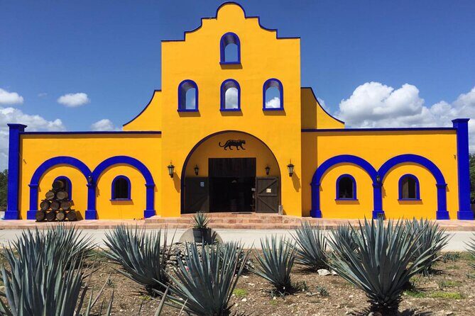 Cancun Shopping Tour with Cancun Viewpoint and Puerto Cancun Mall - Who Will Love This Tour?