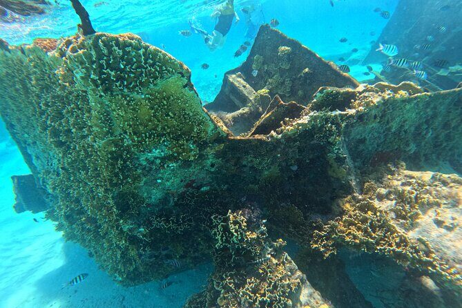 Cancun Snorkeling Adventure - Unpacking the Experience: A Complete Breakdown