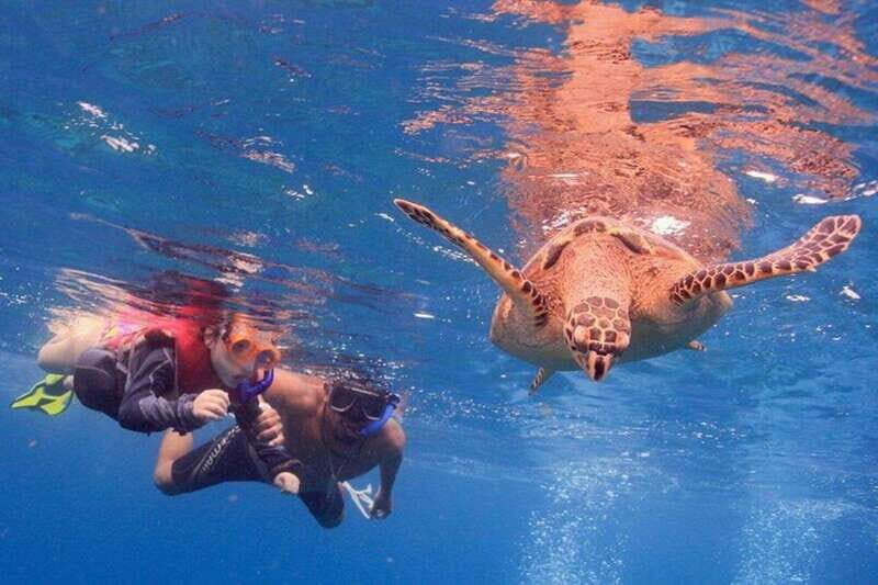 Cancun: Snorkeling at Underwater Museum & Manchones Reef - An Honest Look at This Cancun Snorkel Tour