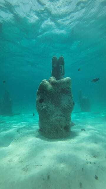 Cancun: Snorkeling Boat Tour with Gear - Final Thoughts