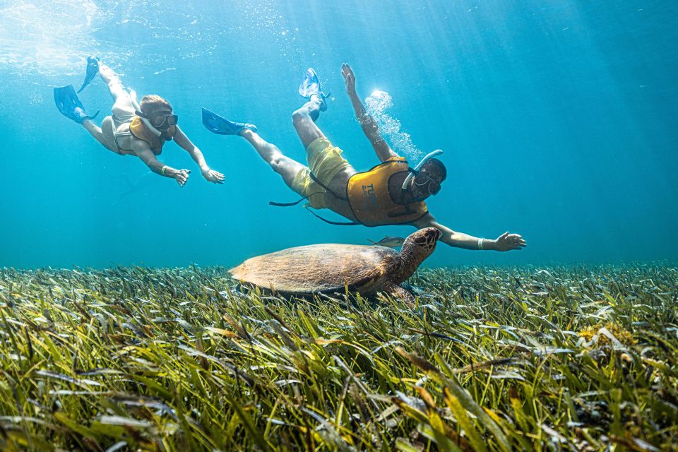 Cancun: Snorkeling Boat Tour With Hotel Transfer and Gear - Included Tour Amenities