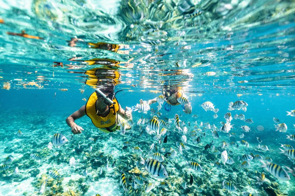 Cancun: Snorkeling Boat Tour With Hotel Transfer and Gear - Frequently Asked Questions