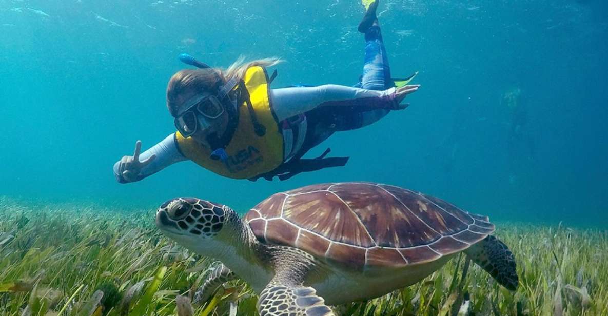 Cancun: Snorkeling Boat Trip - Reef Snorkeling Experience