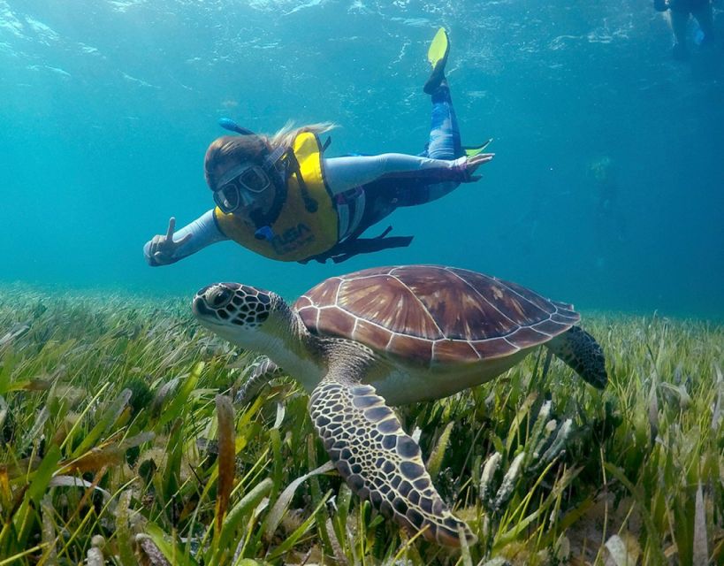 Cancun: Snorkeling Boat Trip - Underwater Museum Gallery Visit
