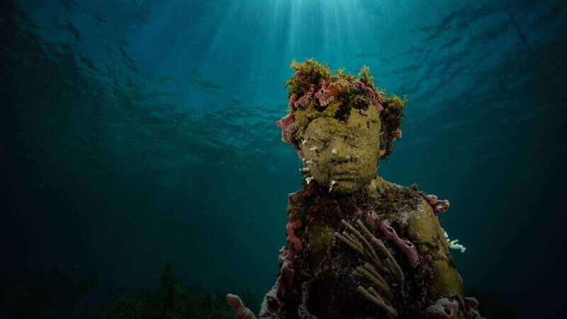 Cancun: Snorkeling Tour at MUSA The Underwater Museum - An In-Depth Look at the Tour Experience