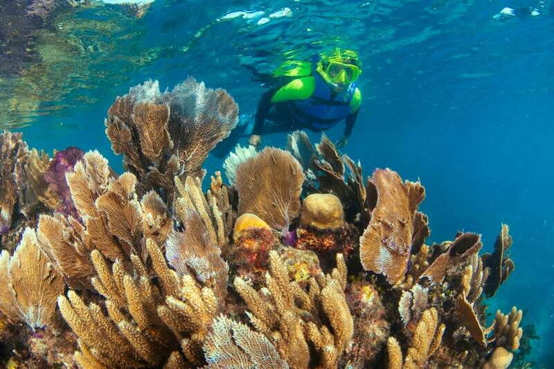 Cancun: Snorkeling Tour at MUSA The Underwater Museum - FAQ