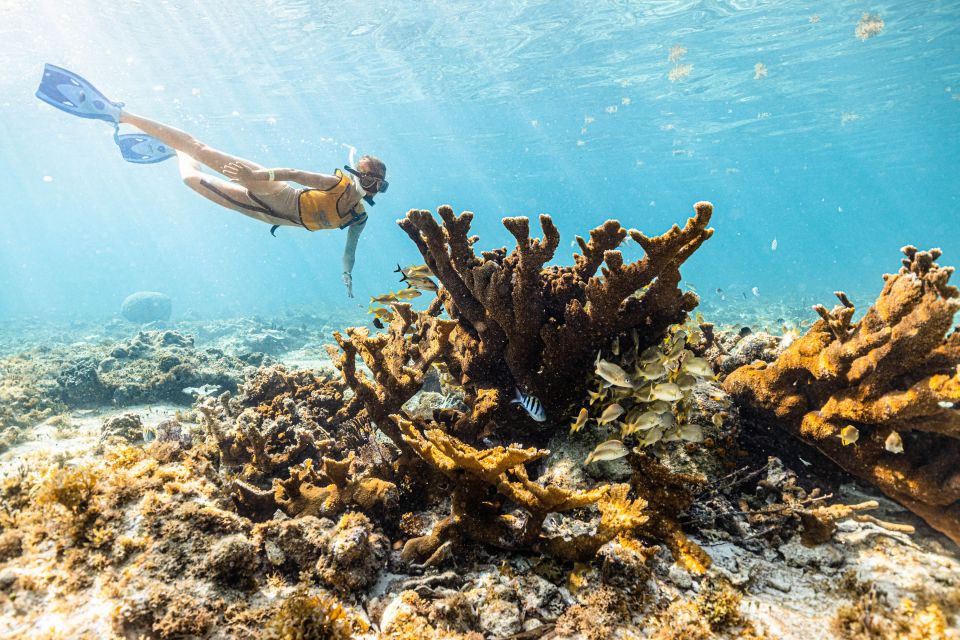 Cancun: Snorkeling Tour for Non-Swimmers - Snorkeling Locations