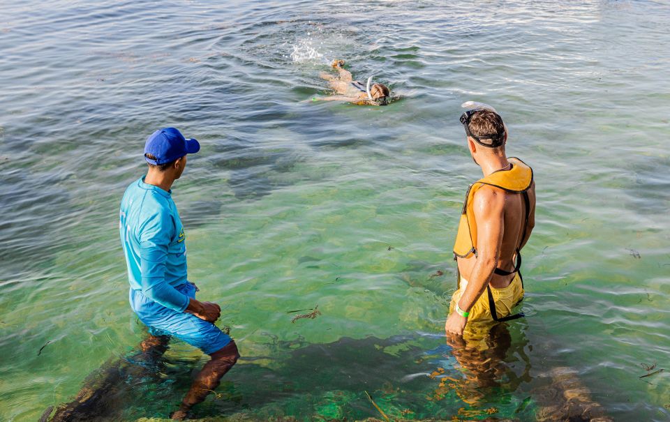 Cancun: Snorkeling Tour for Non-Swimmers - Preparation and Attire