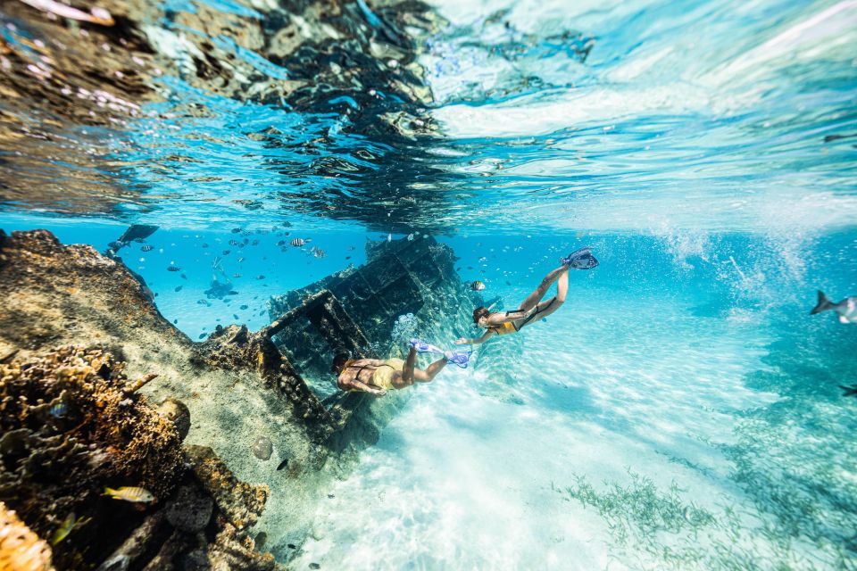 Cancun: Snorkeling Tour for Non-Swimmers - Transportation and Guidance