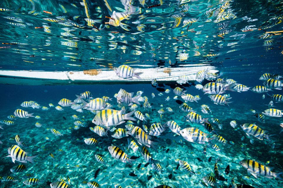 Cancun: Snorkeling Tour for Non-Swimmers - Frequently Asked Questions