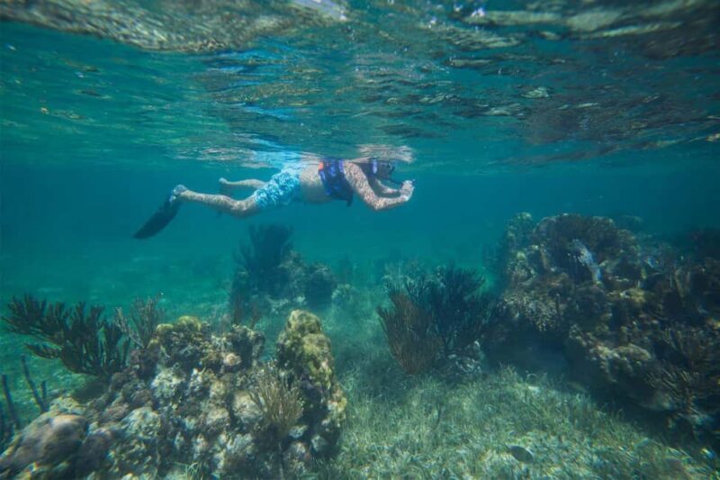Cancun: Snorkeling Tour with Hotel Pickup - An Introduction to the Experience