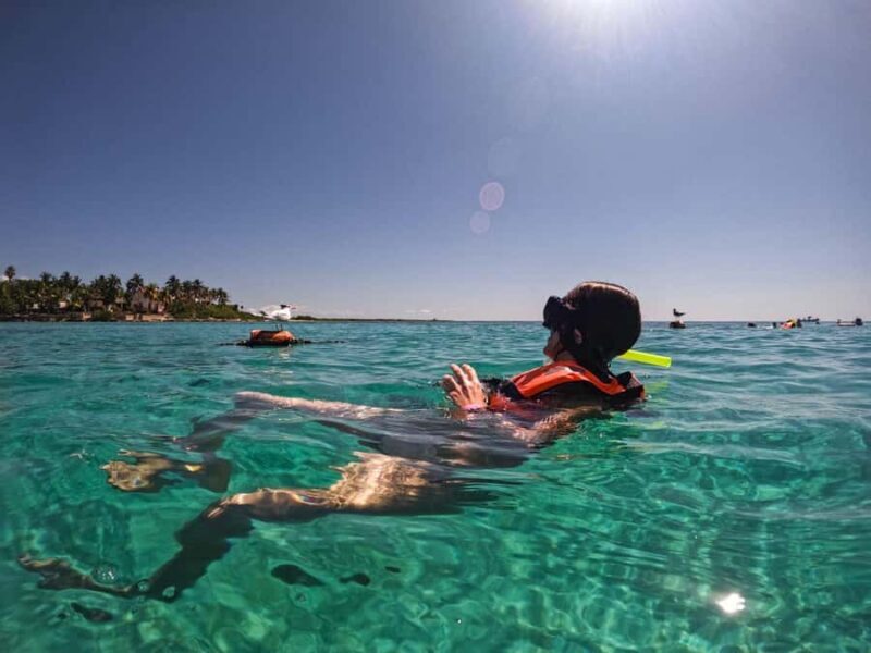 Cancun: Snorkeling tour with Sea Turtles & Cenote, half day. - What Could Be Improved