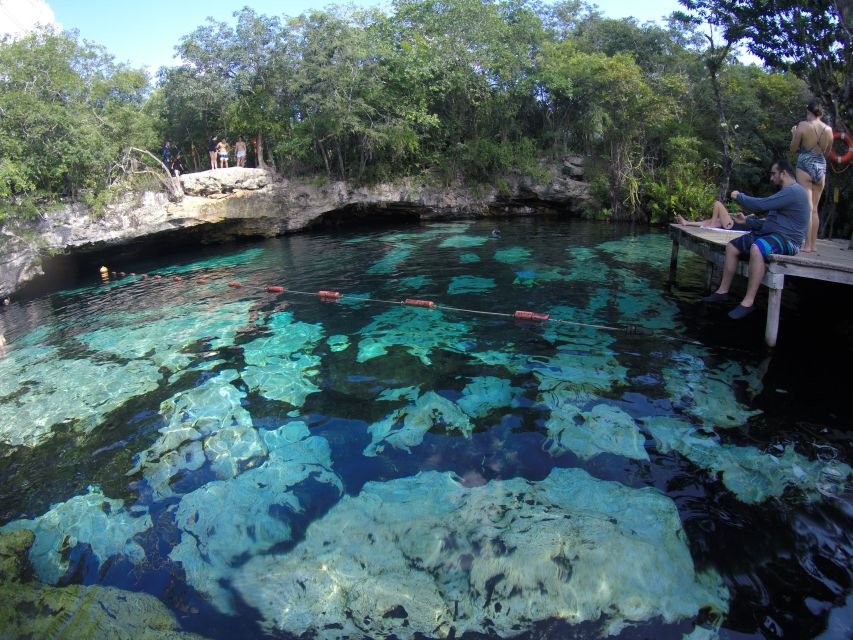 Cancún: Snorkeling With Marine Turtles and Cenote Swim - Key Points