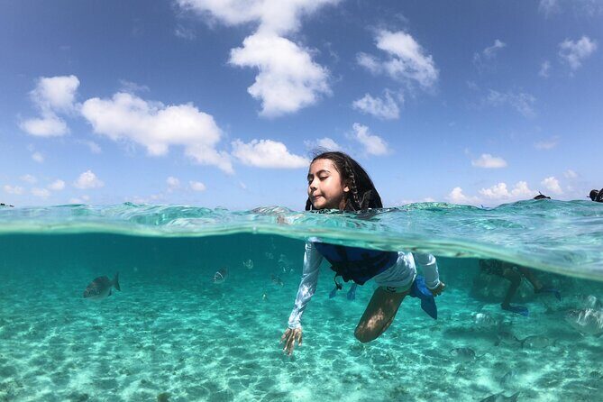 Cancun Speed Boat, Parasailing and Dolphin Beach with Transport - Experience the Thrill of Cancun’s Speed Boat, Parasailing, and Dolphin Beach Tour