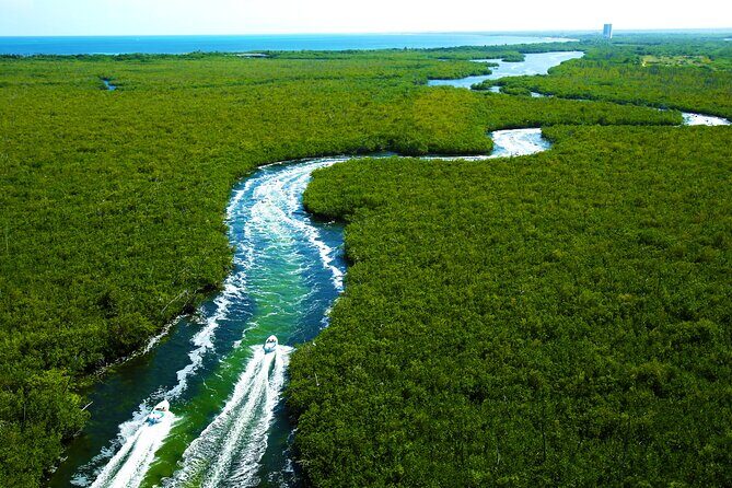 Cancun Speed Boat, Parasailing and Dolphin Beach with Transport - Key Points