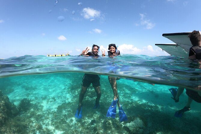 Cancun Speed Boat, Parasailing and Dolphin Beach with Transport - Who Should Consider This Tour?