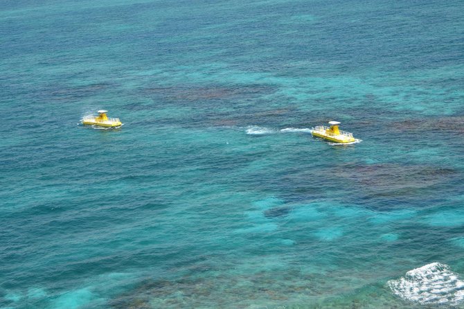 Cancun Submarine and Optional Snorkeling Tour - Traveler Feedback