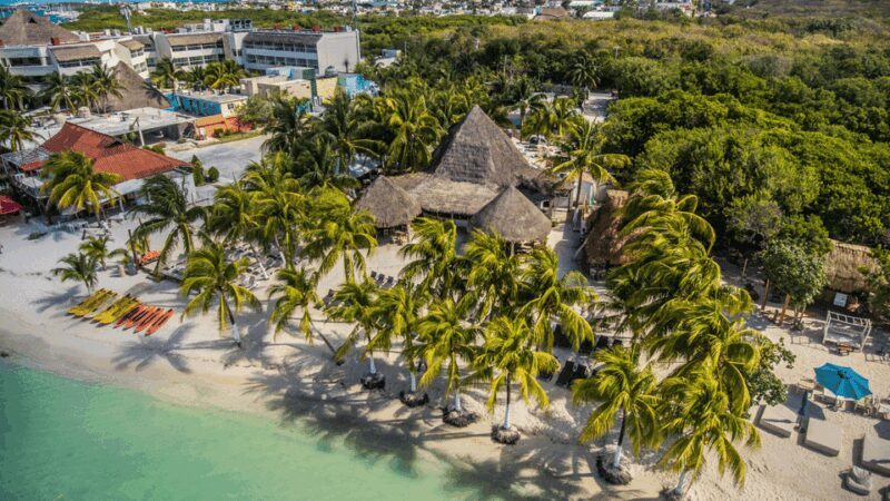 Cancún: Swim with Whale Sharks & Playa Norte Beach - Key Points