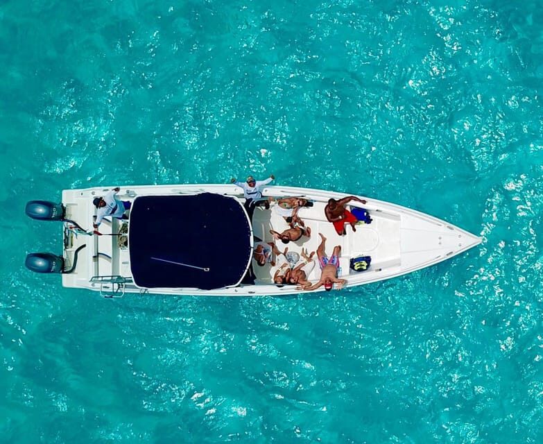 Cancún: Swim with Whale Sharks & Playa Norte Beach - Introduction to the Experience