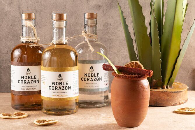 Cancun Tequila Tasting and Pairing - A Closer Look at the Experience