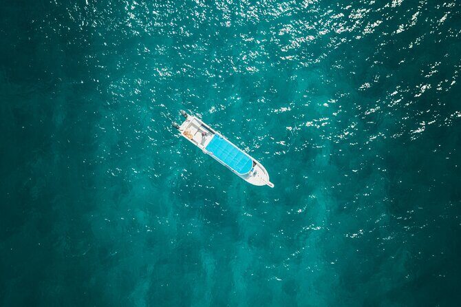 Cancun to Tulum - Private Transfer with Optional Sightseeing - What to Expect During Your Journey