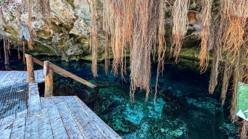 Cancun: Tulum & Coba with Cenote, Cave Exploration and Lunch - Final Thoughts