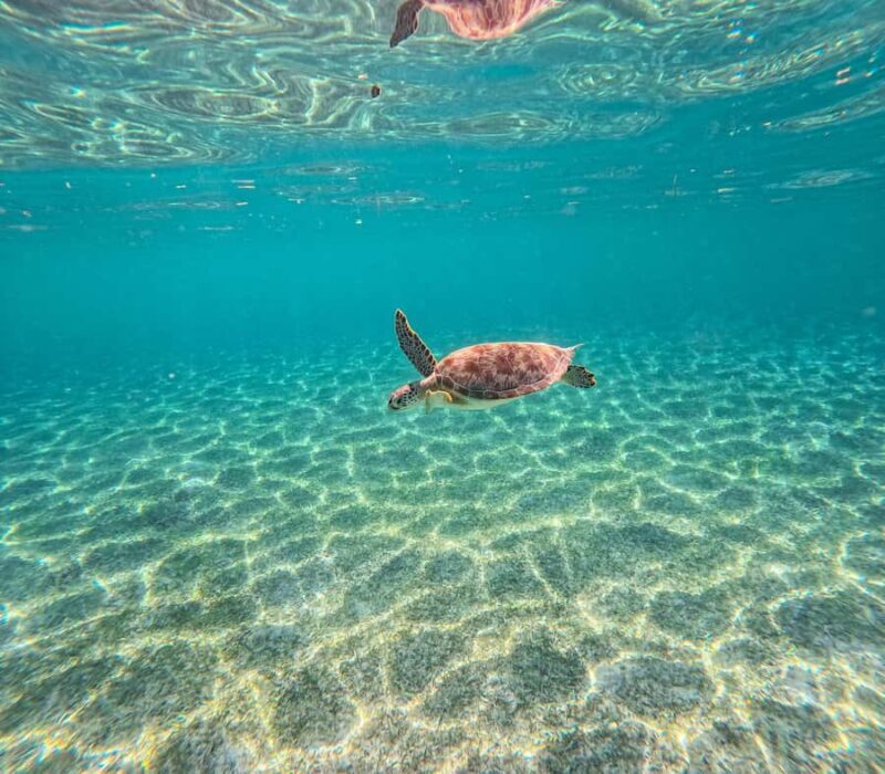 Cancun: Tulum Ruins, Akumal Turtles, Cenote & Caves Tour - Starting the Day: Early Access at Tulum Ruins