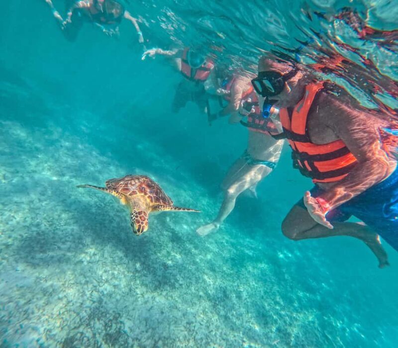 Cancun: Tulum Ruins, Akumal Turtles, Cenote & Caves Tour - Snorkeling with Sea Turtles in Akumal