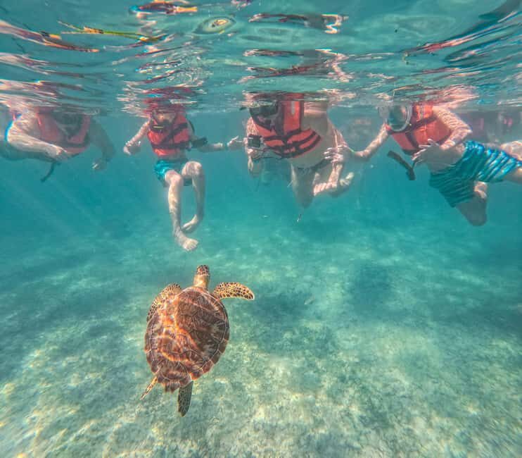 Cancun: Tulum Ruins, Akumal Turtles, Cenote & Caves Tour - Exploring the Riviera Maya: A Full Day of Culture, Nature, and Adventure