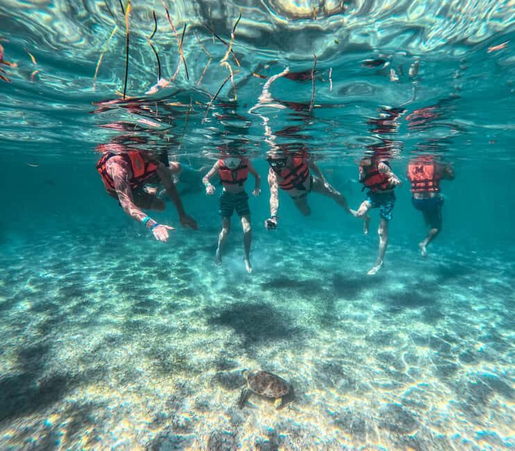 Cancun: Tulum Ruins, Akumal Turtles, Cenote & Caves Tour - What’s Included and How It Adds Value