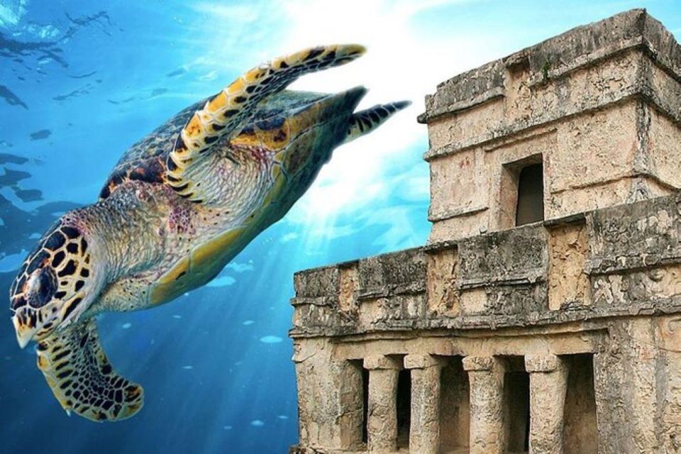 Cancun: Tulum Ruins & Snorkeling With Sea Turtles Tour - Key Points