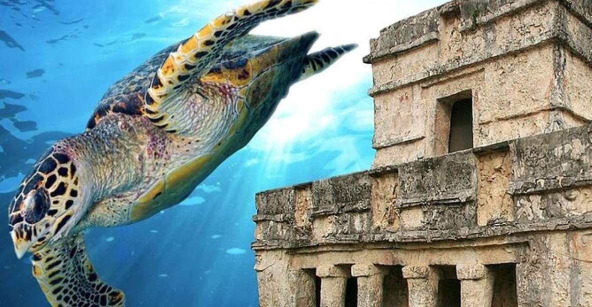 Cancun: Tulum Ruins & Snorkeling With Sea Turtles Tour - Inclusions