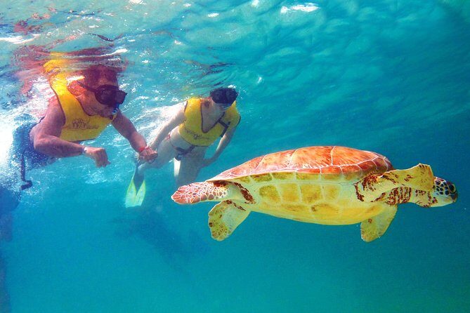 Cancun Ultimate Adventure: ATV's, Snorkeling & Zip Lines - Who Is This Tour Best Suited For?