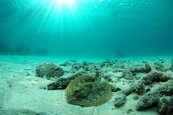 Cancun Ultimate Adventure: ATV's, Snorkeling & Zip Lines - Frequently Asked Questions