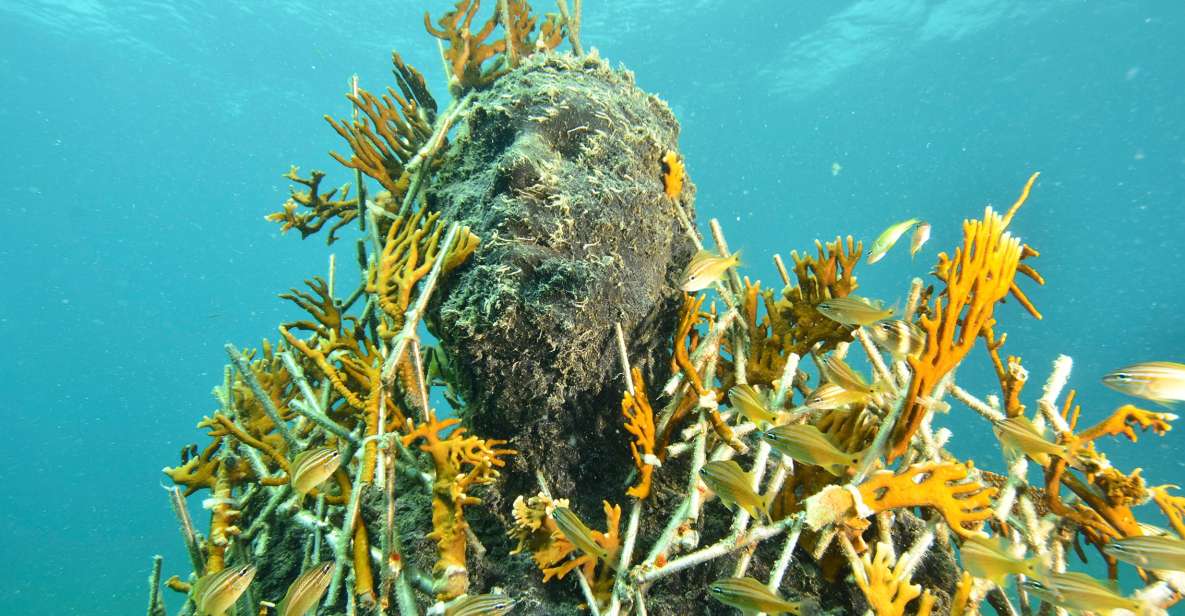 Cancún: Underwater Museum & Reef for Certified Scuba Divers - Restrictions