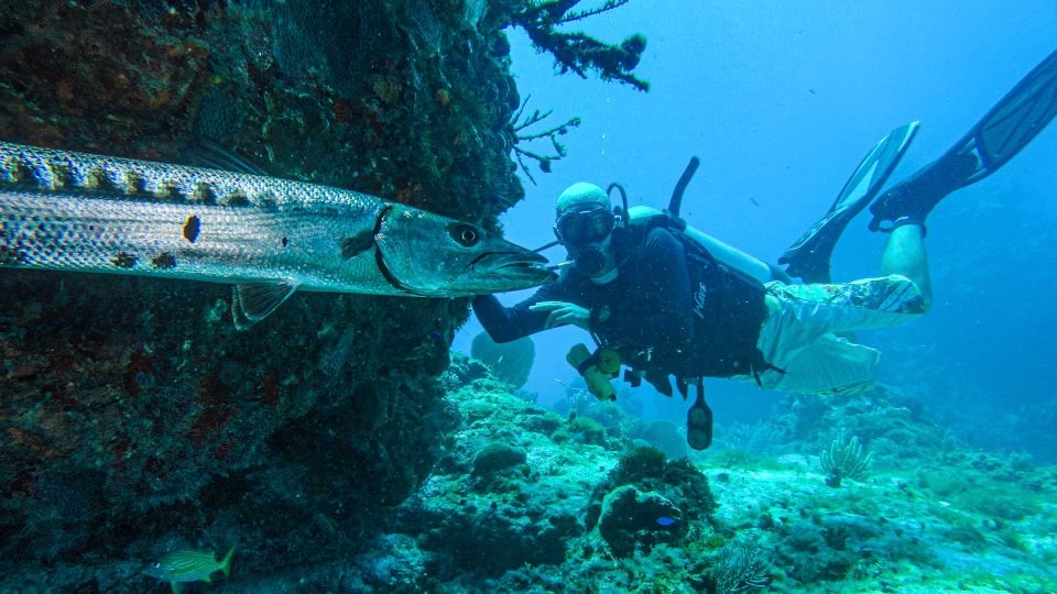 Cancún: Wreck and Reef for Certified Scuba Divers - Key Points