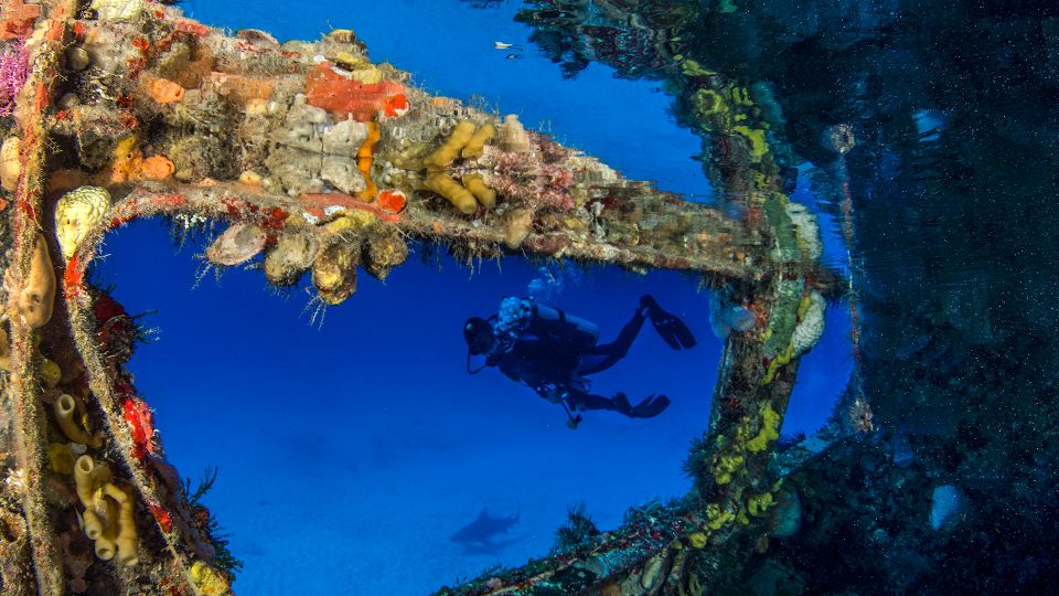 Cancún: Wreck and Reef for Certified Scuba Divers - Activities and Highlights