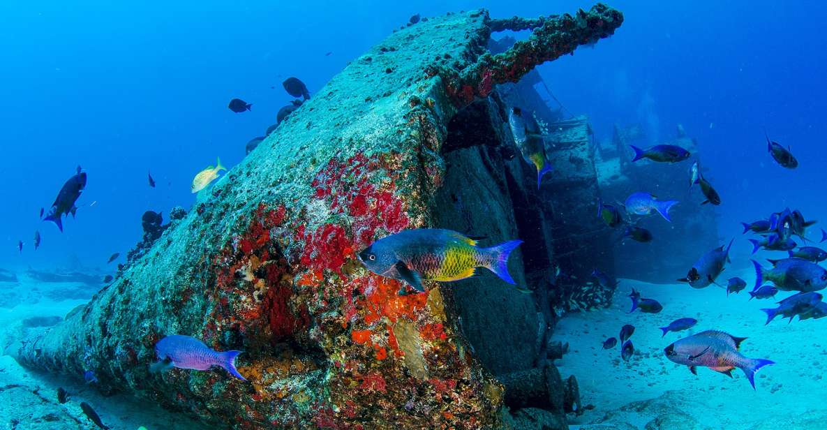 Cancún: Wreck and Reef for Certified Scuba Divers - Scuba Diving Equipment and Inclusions