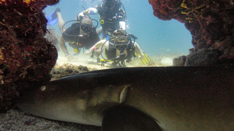 Cancún: Wreck and Reef for Certified Scuba Divers - Participant Eligibility