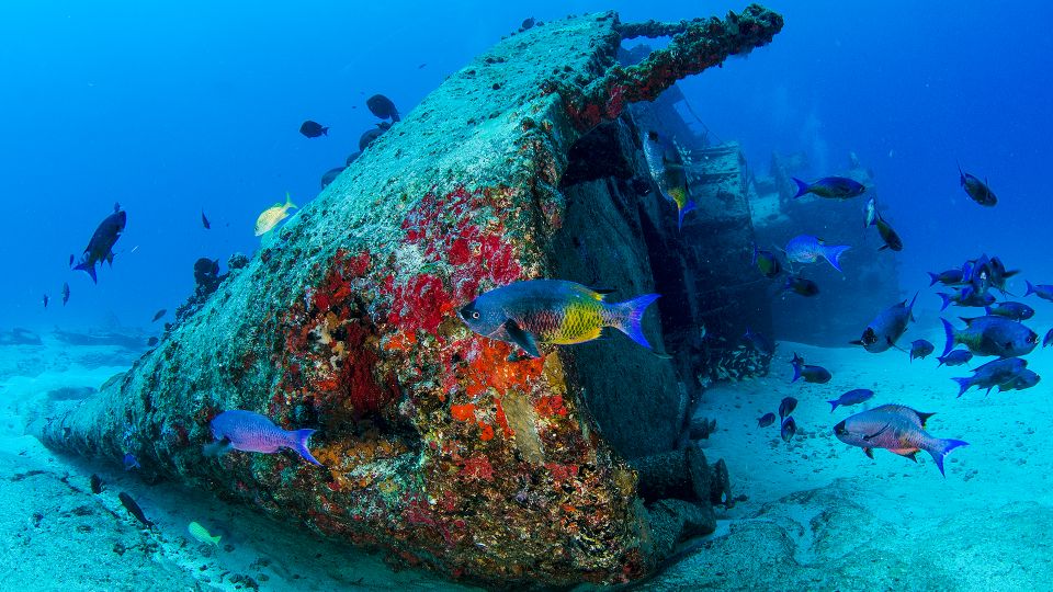 Cancún: Wreck and Reef for Certified Scuba Divers - Frequently Asked Questions