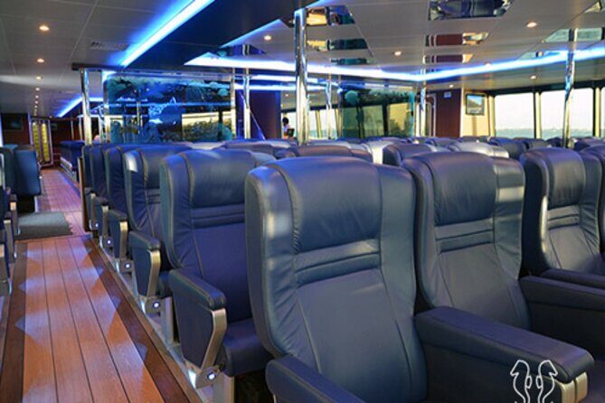 CancunIsla Mujeres: Ferry Round-Trip + Hotel Transfer - Authenticity and Value