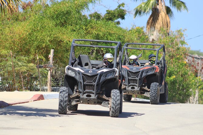 Candelaria Beach and Desert UTV Adventure - Key Points