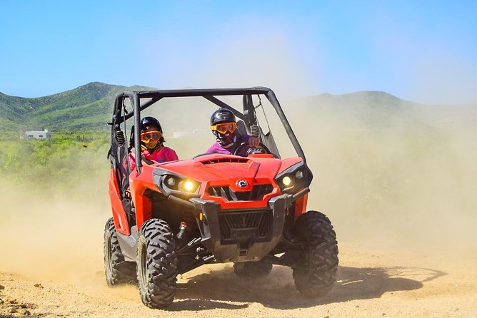Candelaria Beach and Desert UTV Adventure - Important Information to Know