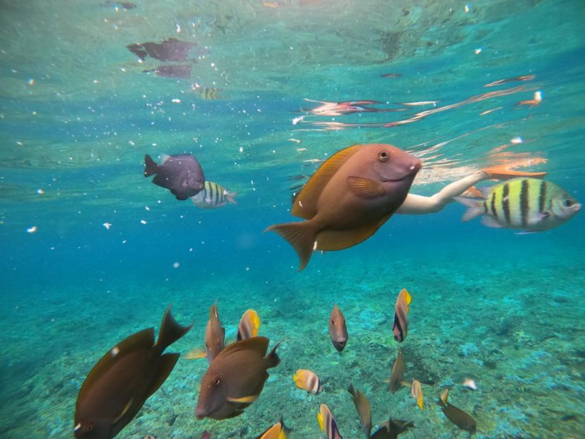 Candidasa: Best of Snorkeling, Blue Lagoon, and Tanjung Jepun - Pickup Location and Timing