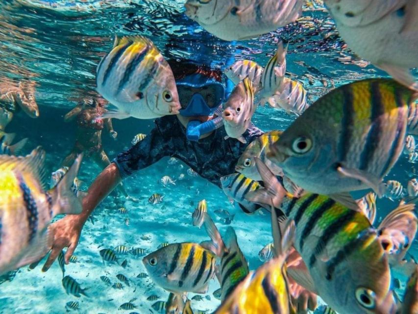 Candidasa: Best of Snorkeling, Blue Lagoon, and Tanjung Jepun - Inclusions and Amenities